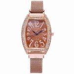 Internet celebrity new European and American style watch square fashion magnet stone mesh belt quartz watch-ZX-008