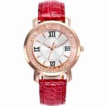 Ladies Watch Quicksand Ball Quartz Watch Fashion New Belt Watch Ladies Models-ZX-018
